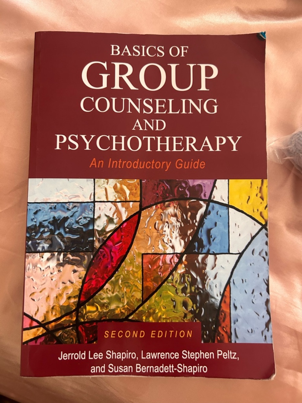 Basics of Group Counseling And Psychotherapy 2nd Edition Book